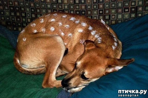 ���� 3: ������ � ��������