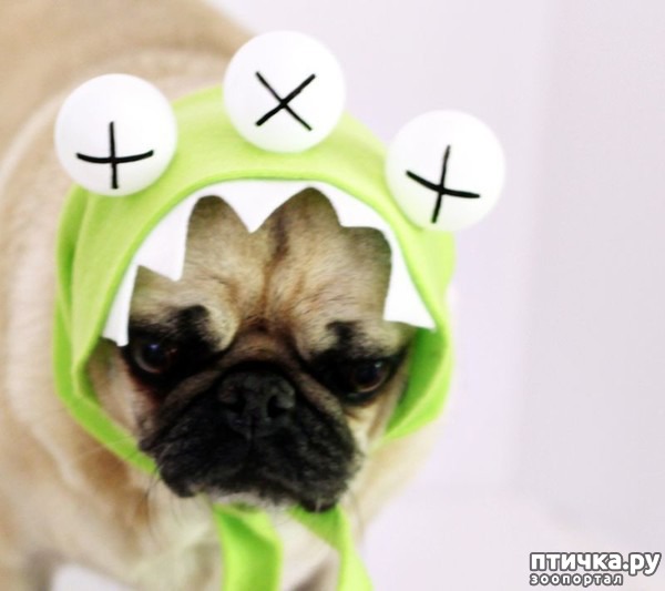 ���� 5: ������ � ��������