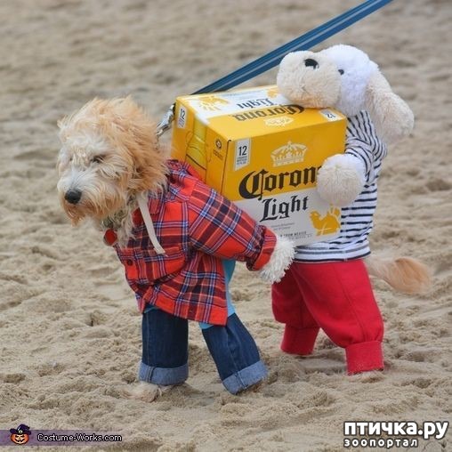 ���� 7: ������ � ��������