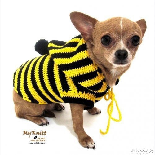 ���� 9: ������ � ��������