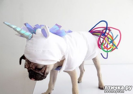 ���� 10: ������ � ��������