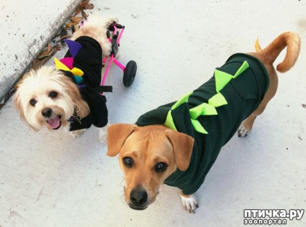 ���� 12: ������ � ��������