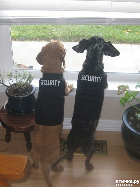 ���� 14: ������ � ��������