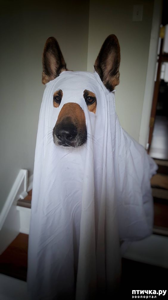 ���� 20: ������ � ��������