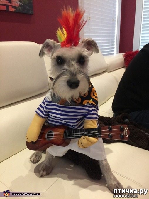 ���� 21: ������ � ��������