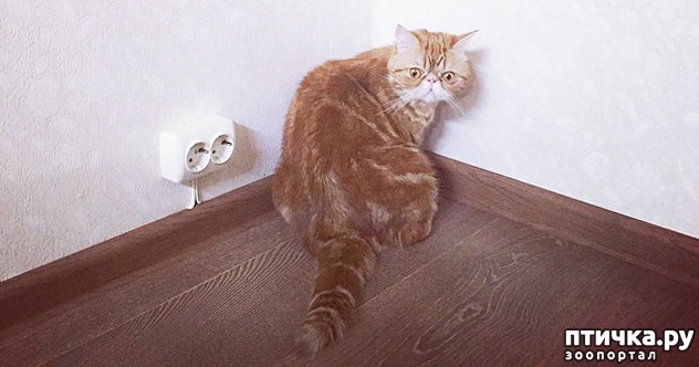 ���� 1: ��� �����