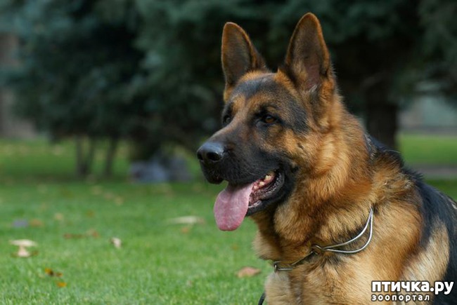 ���� 1: ���������� ����������� ������� (����� �� ���������)