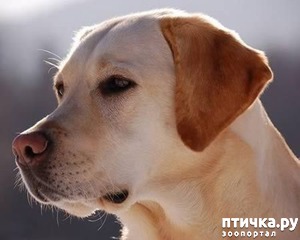 ����: ������-�������� ���������, ����� ������ ������ ������� �� ����� ������� 09.11.2001