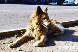 ����: ������� ������