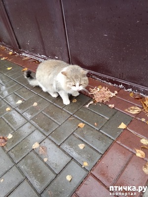 ����: �� �� ������ ���� ��, �������!