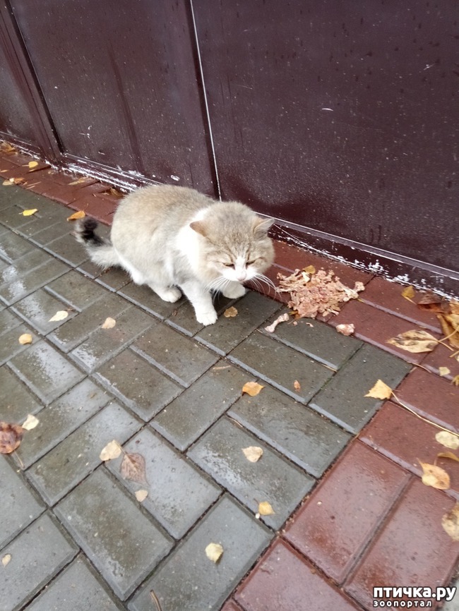 ���� 1: �� �� ������ ���� ��, �������!