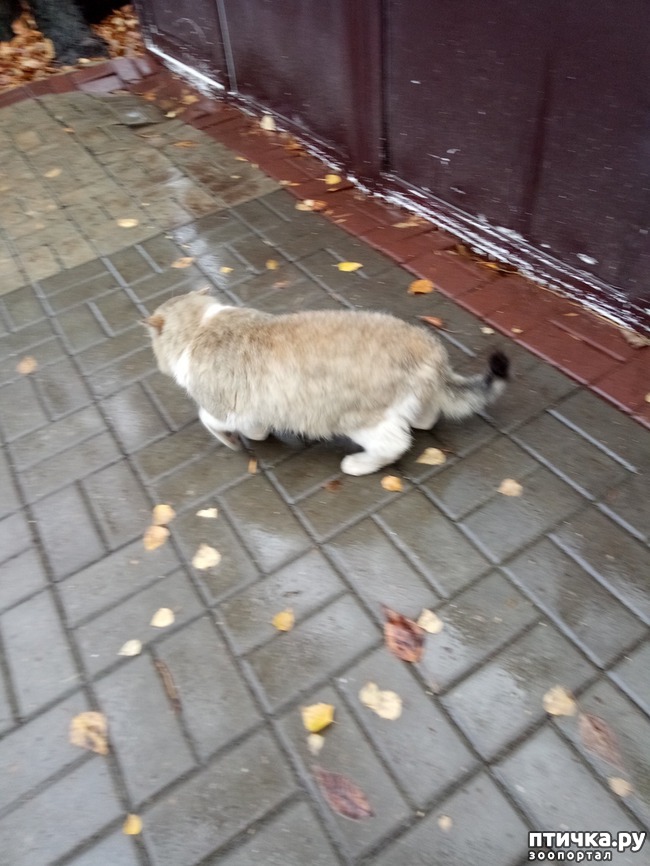 ���� 2: �� �� ������ ���� ��, �������!