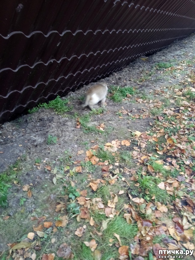 ���� 3: �� �� ������ ���� ��, �������!