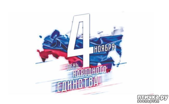 ���� 1: � �ͨ� ��������� ��������!