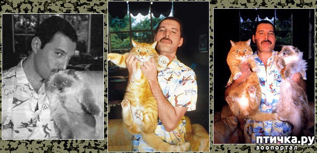 ���� 1: ����� ������ ��������