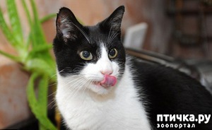 ����: ������� ������� ����� �����