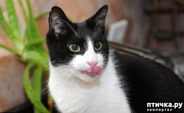 ���� 1: ������� ������� ����� �����