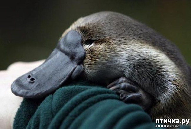 ���� 1: ��������� ������ ������ �������������� ���� �����