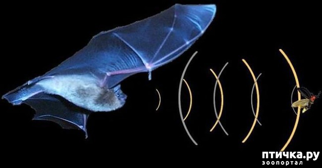 ���� 2: ��������� ������ ������ �������������� ���� �����