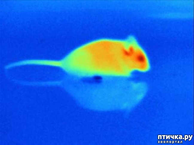 ���� 3: ��������� ������ ������ �������������� ���� �����