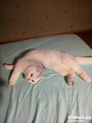 ����: ������� ����������