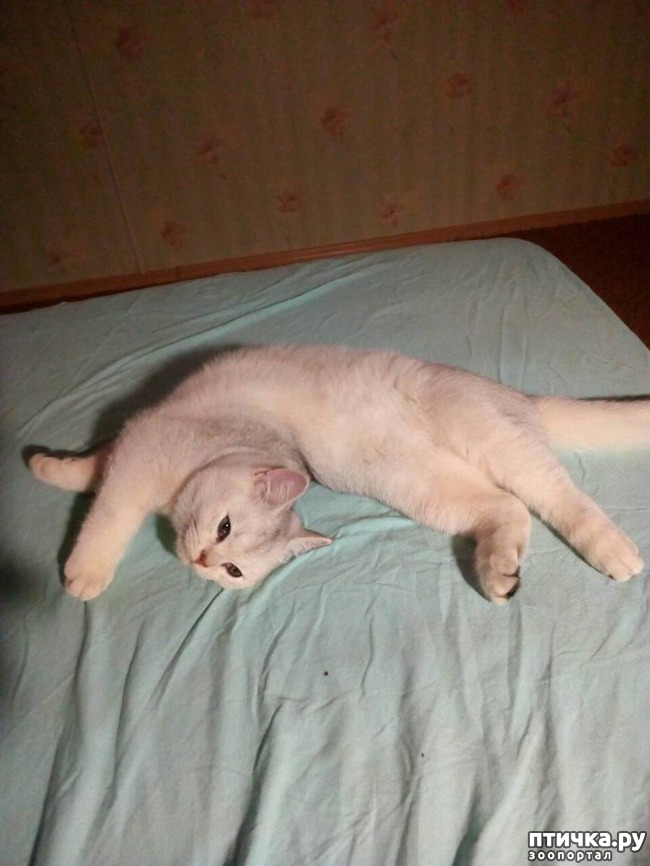 ���� 1: ������� ����������