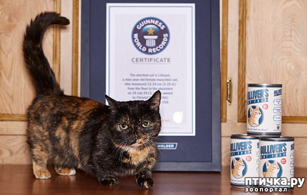 ���� 5: ������� ������� ����� �����