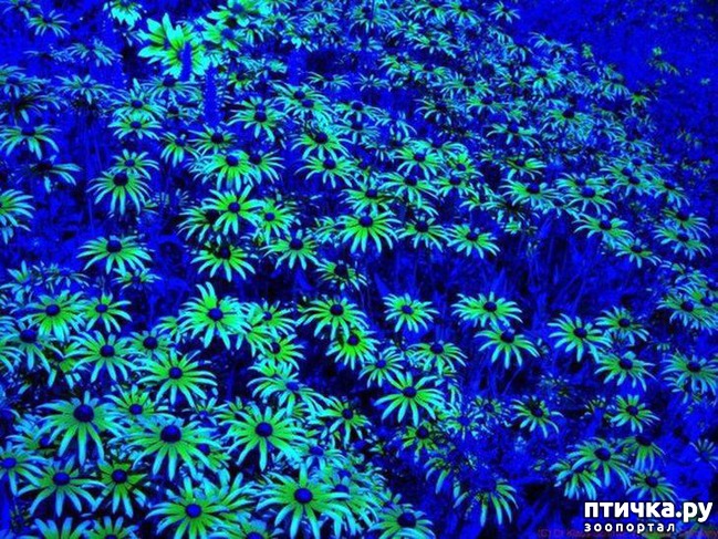 ���� 4: ��������� ������ ������ �������������� ���� �����