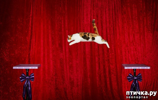 ���� 6: ������� ������� ����� �����