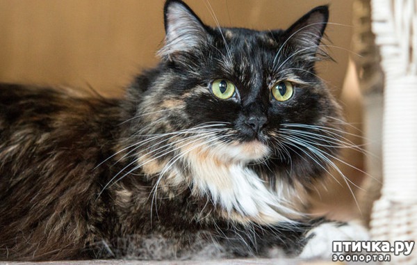 ���� 7: ������� ������� ����� �����