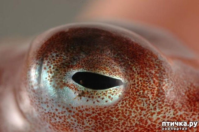 ���� 6: ��������� ������ ������ �������������� ���� �����