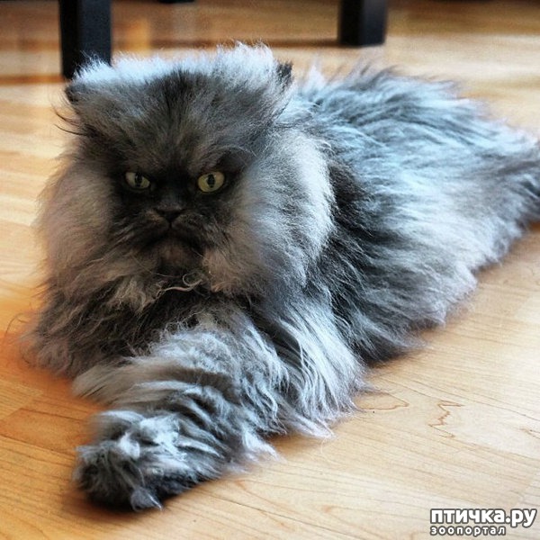 ���� 8: ������� ������� ����� �����