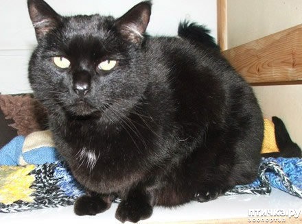 ���� 9: ������� ������� ����� �����