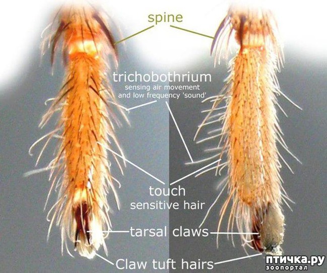 ���� 7: ��������� ������ ������ �������������� ���� �����