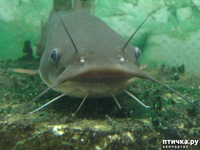 ���� 8: ��������� ������ ������ �������������� ���� �����