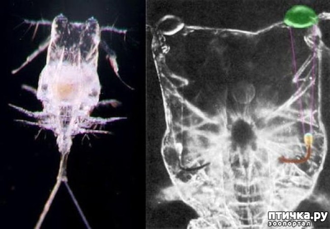 ���� 10: ��������� ������ ������ �������������� ���� �����