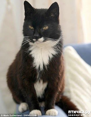 ���� 4: ������� ������� ����� �����