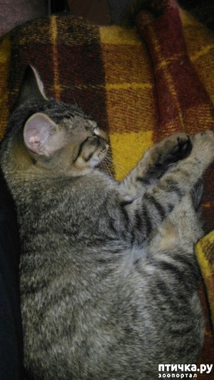 ����: �������� ���� ��������.