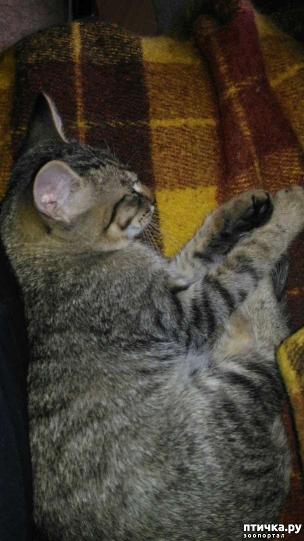 ���� 1: �������� ���� ��������.