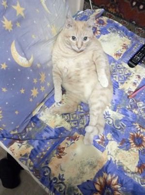 ����: � ������ ����� �� ������