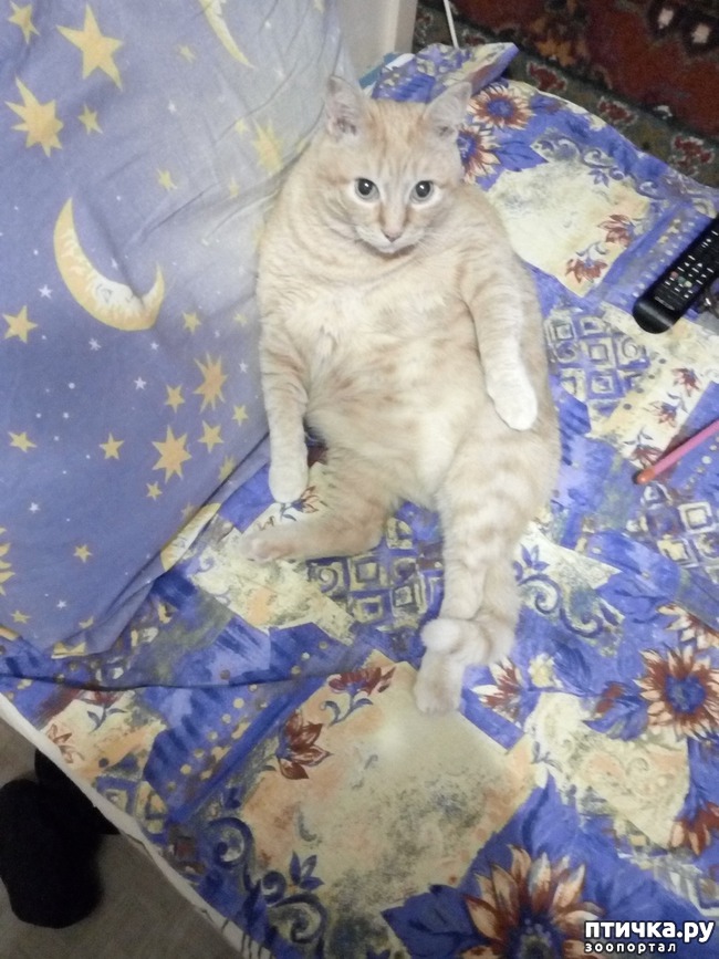 ���� 1: � ������ ����� �� ������