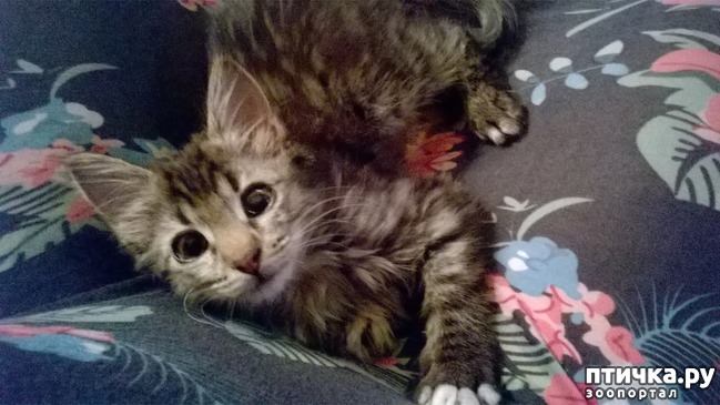 ���� 2: ����� � ����. ������ ���� ������.