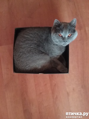 ����: ���� ���������� �����