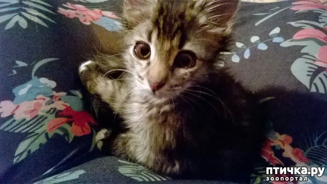 ���� 1: ����� � ����. ������ ���� ������.