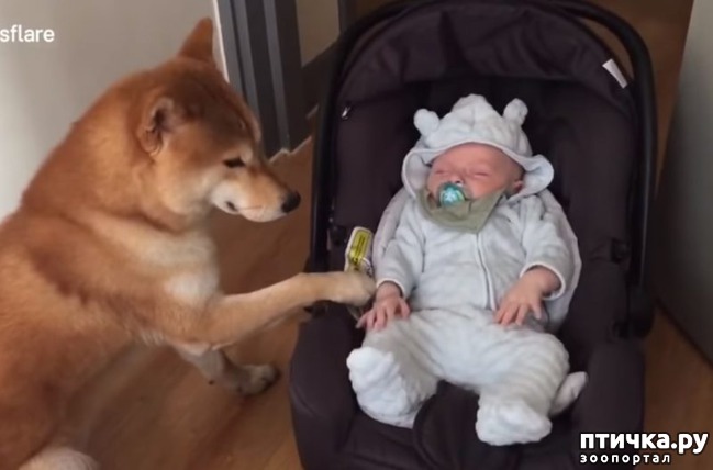 ���� 1: ������ ������� ������� ��������)))