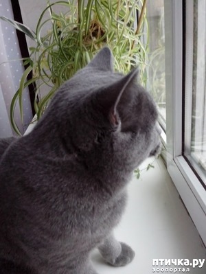 ����: ����, ������ � �����