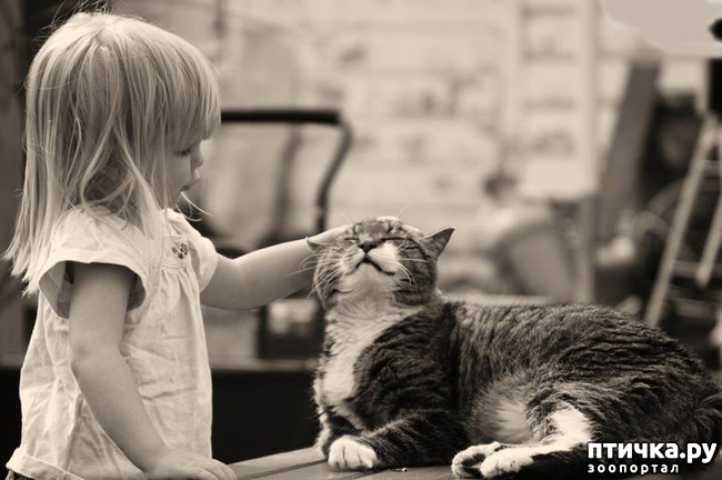 ���� 1: ����������� ����������� �������� �����