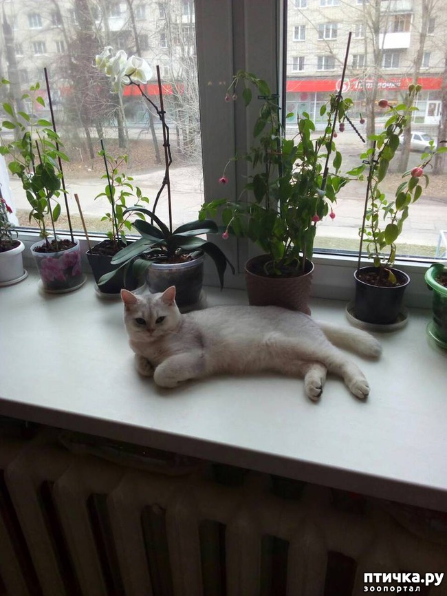 ���� 1: ���������� ���������