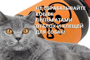 ����: ���������� ���������� �� ���� � ������ � �����