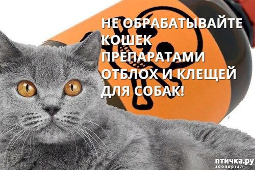 ���� 1: ���������� ���������� �� ���� � ������ � �����